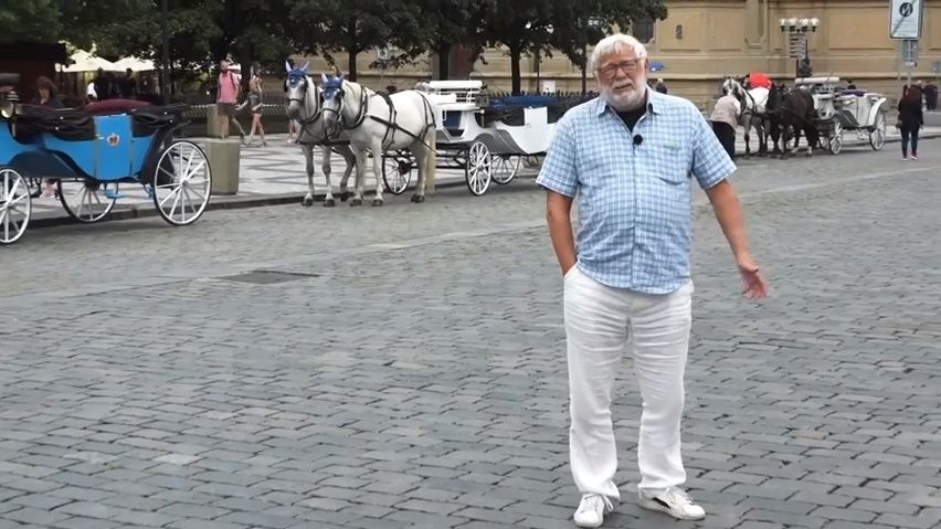 „Kůň není stroj!“ volají ochránci. Zruší se pražské vyhlídkové kočáry?